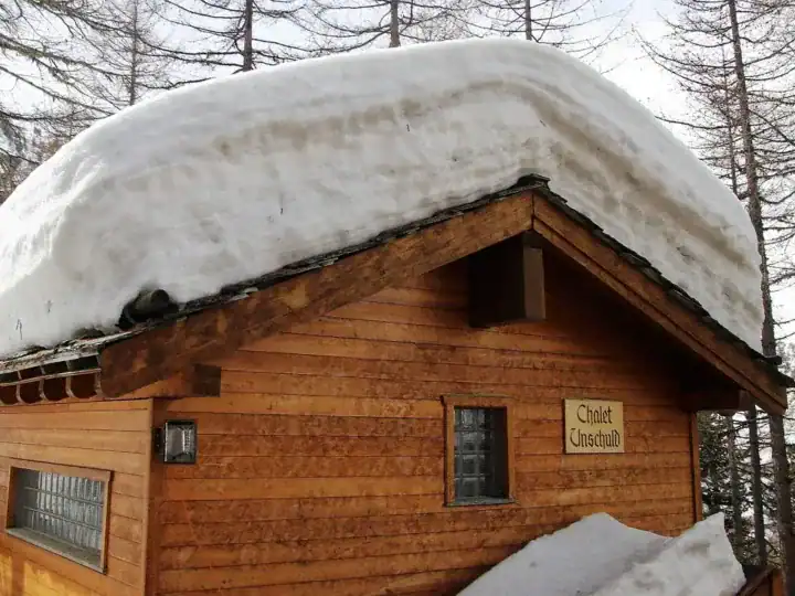 Schronisko górskie w Beskidach podczas wietrznej pogody z widokiem na zaśnieżone drzewa