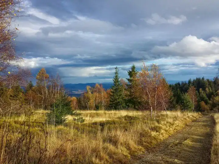 Beskid Śląski — widok na łagodne grzbiety z letnią zielenią