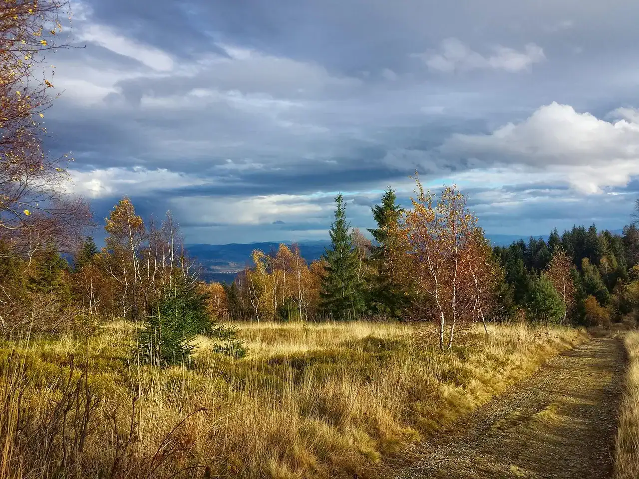 Beskid Śląski — widok na łagodne grzbiety z letnią zielenią