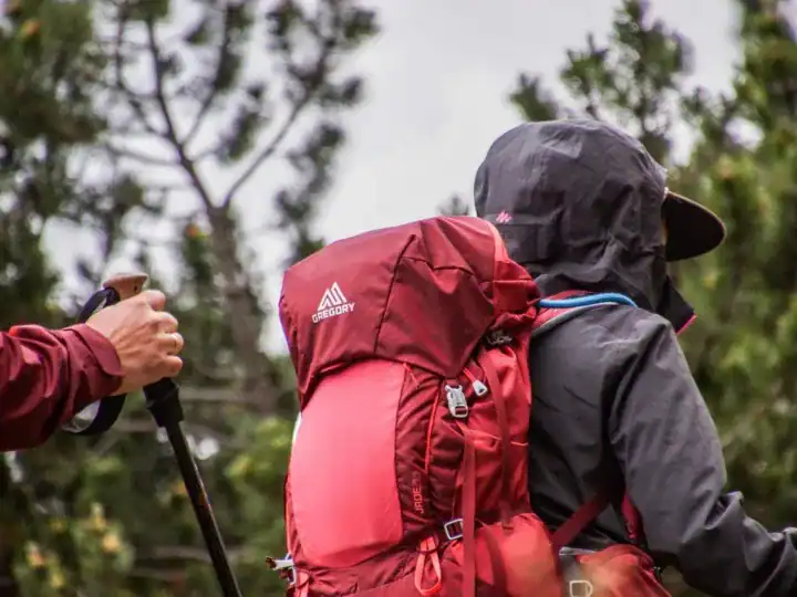 Plecak trekkingowy oparty o drzewo przy górskim szlaku