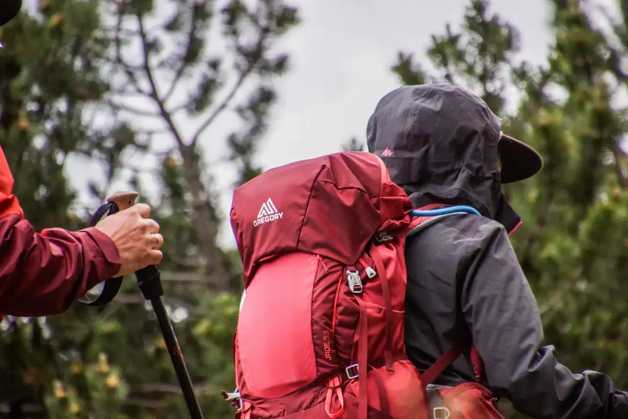Plecak trekkingowy oparty o drzewo przy górskim szlaku