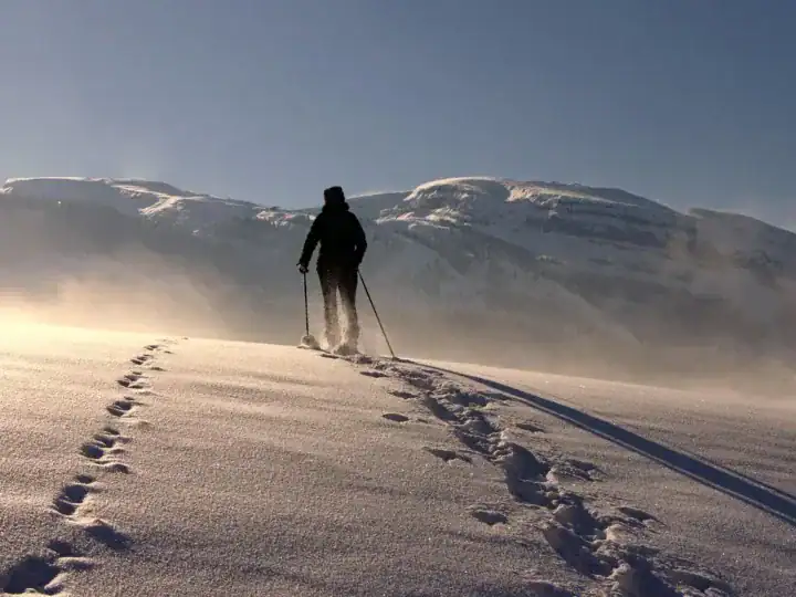Para kijów trekkingowych oparta o skałę na szlaku