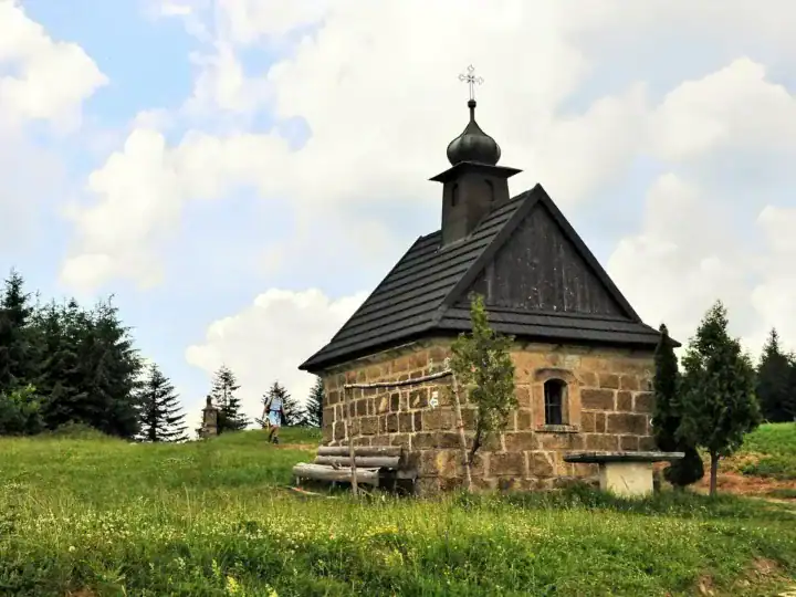 Zielony grzbiet Baraniej Góry latem, Beskid Śląski